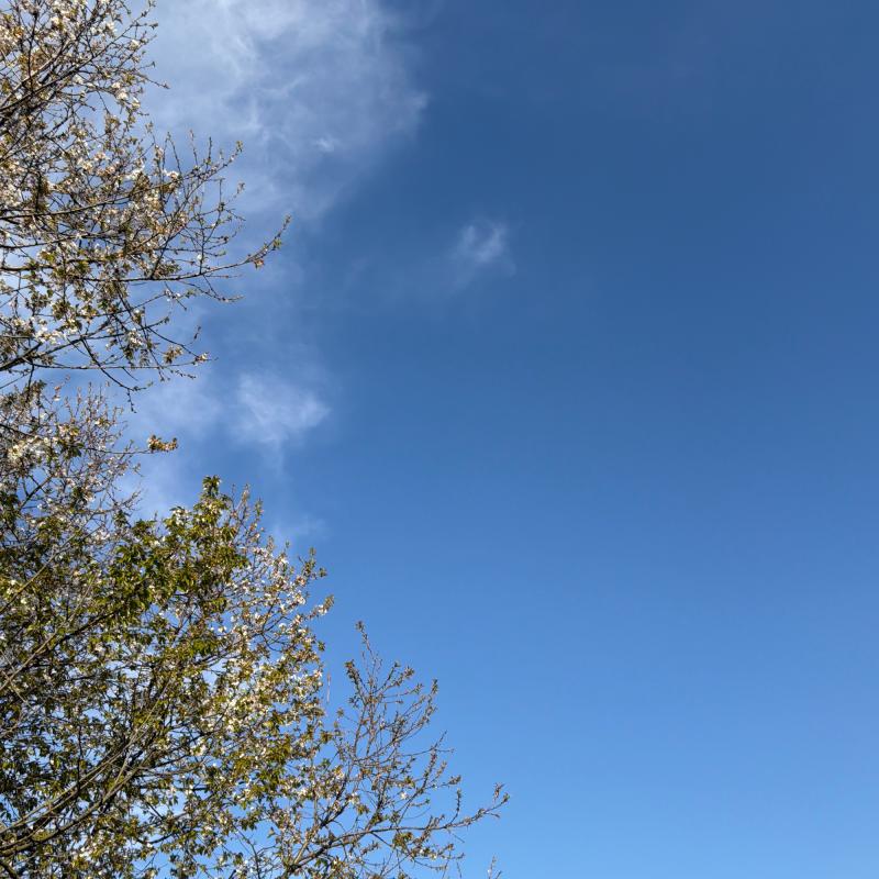 Fotosegnalazione di Buscate