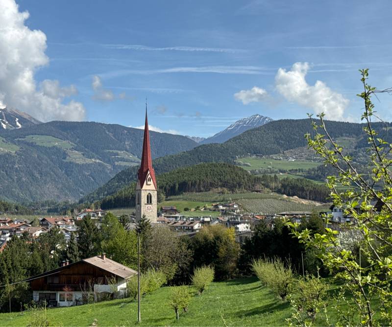 Fotosegnalazione di Naz sciaves