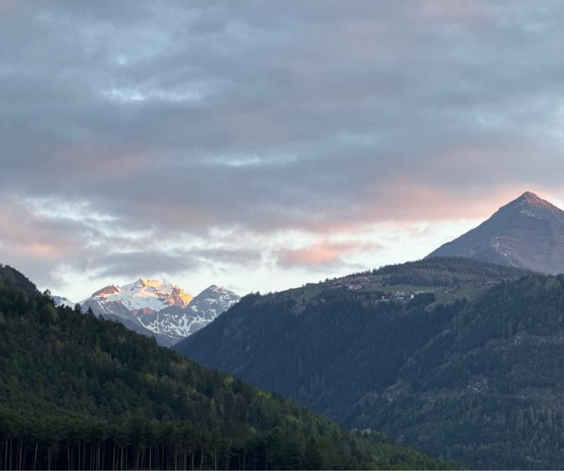 Fotosegnalazione di Naz sciaves