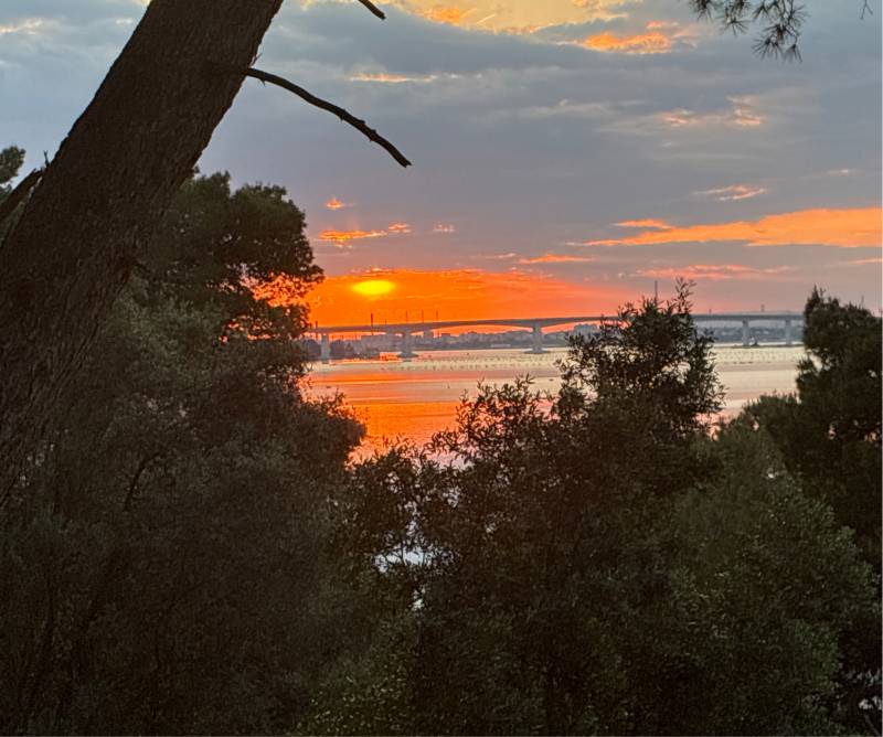 Fotosegnalazione di Taranto periferia sud