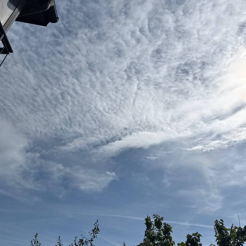 Fotosegnalazione di Arborio