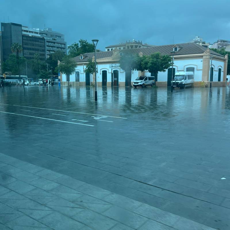 Fotosegnalazione di Palma di maiorca