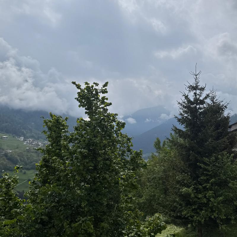 Fotosegnalazione di Pejo