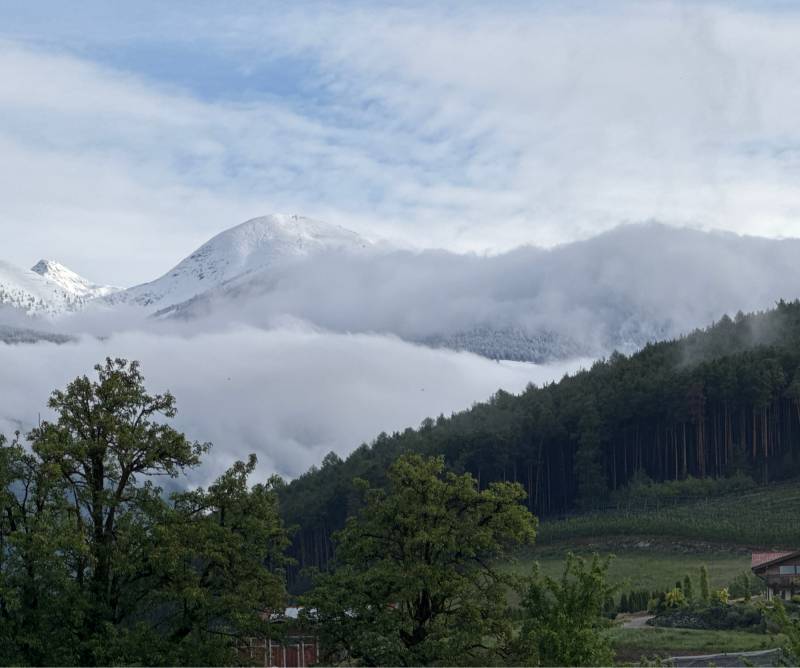 Fotosegnalazione di Naz sciaves