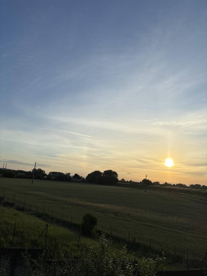 sole di primo mattino