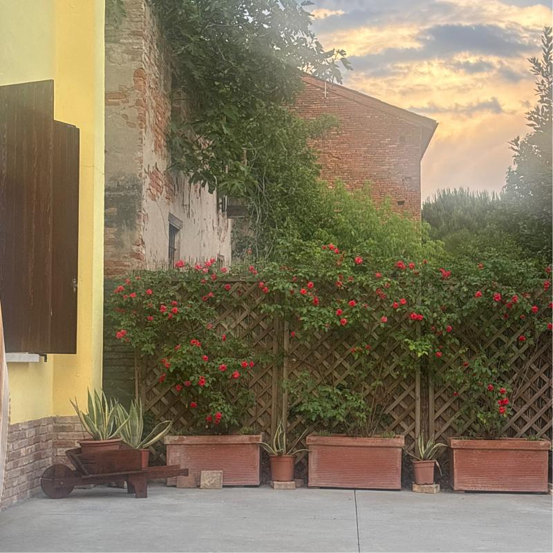 Fotosegnalazione di Piadena drizzona