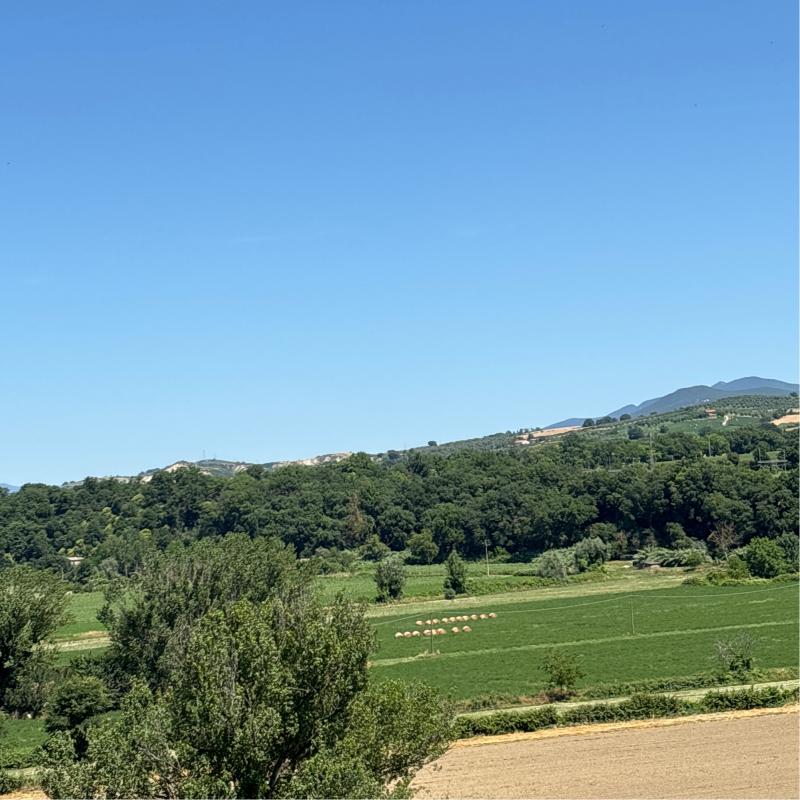Fotosegnalazione di Attigliano