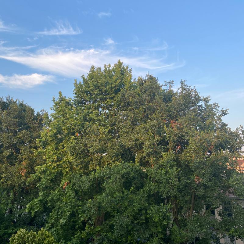 Calda sera di primavera