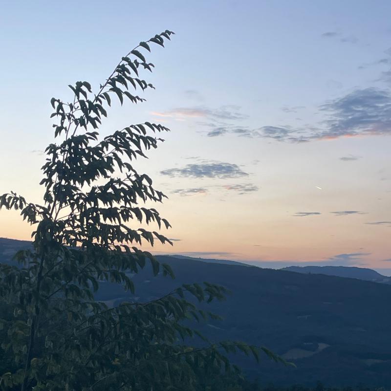 Fotosegnalazione di Varsi
