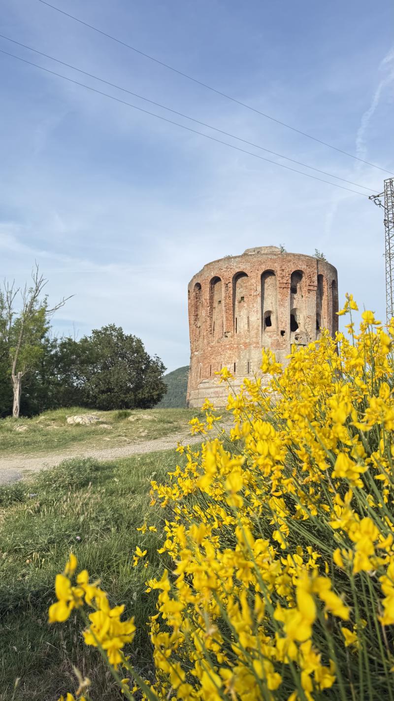 torretta di quezzi