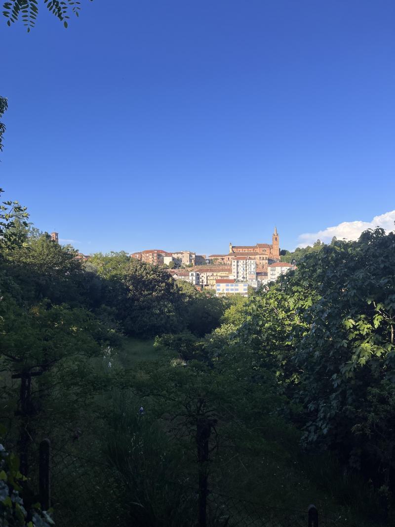 frati cappuccini