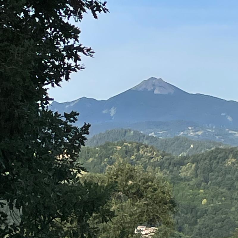 Fotosegnalazione di Castelnovo ne' monti