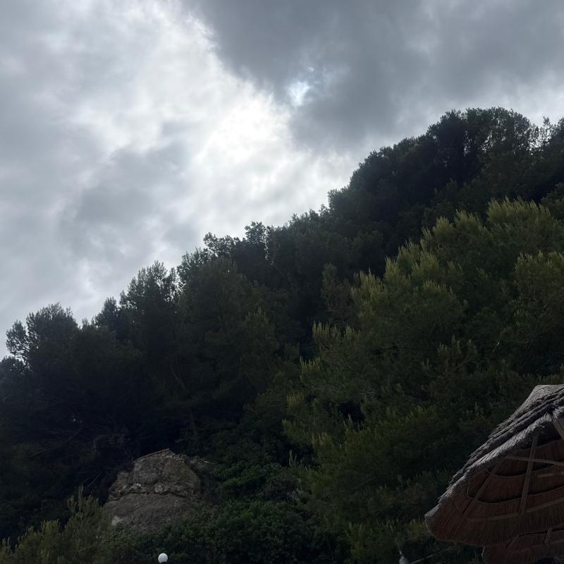 Nuvoloso