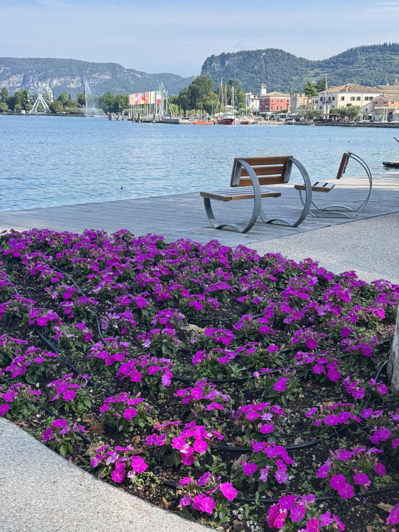 aiuola a Bardolino