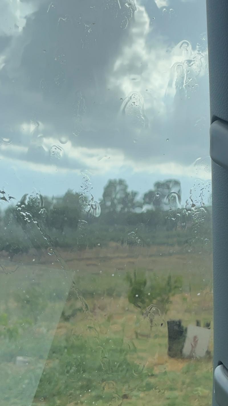 Temporale