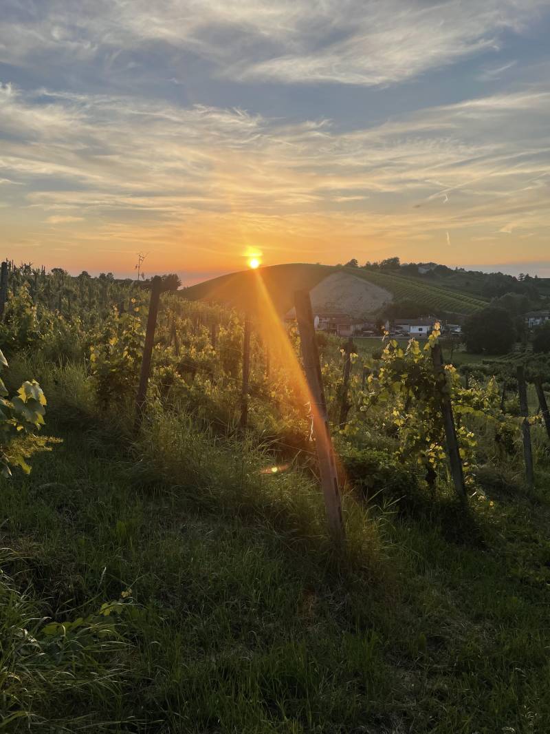 Neive tramonto