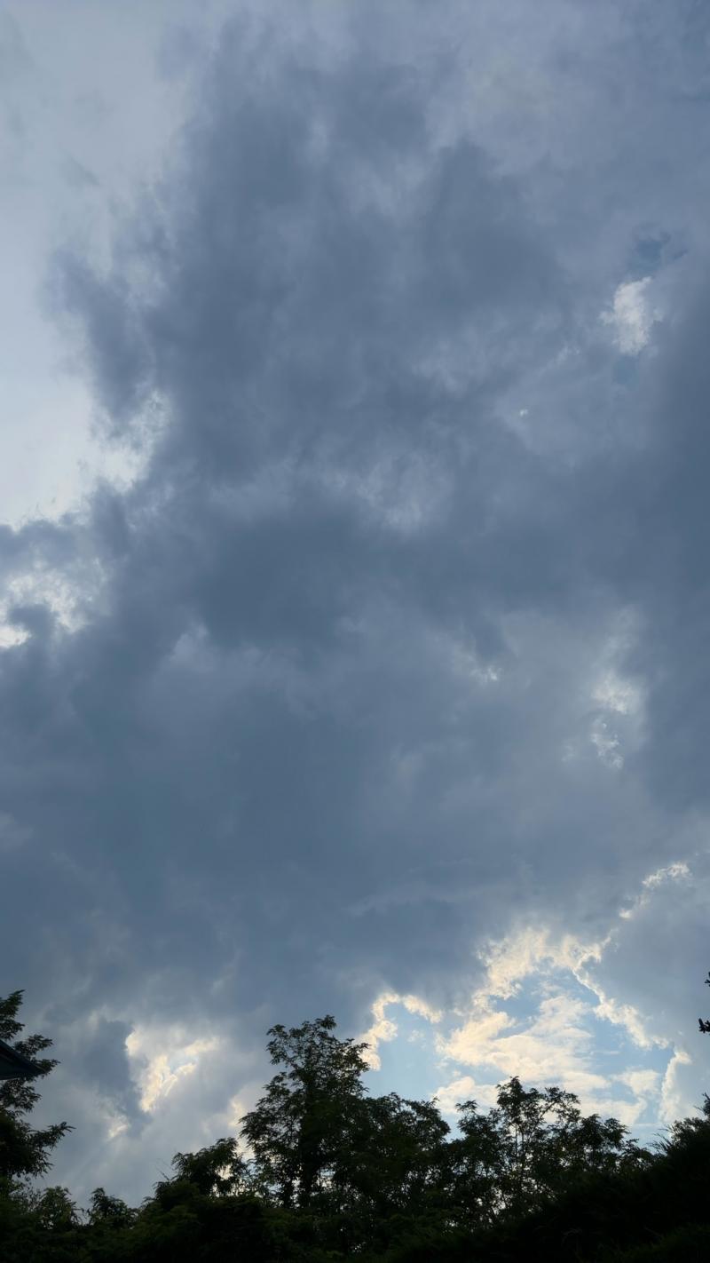 Meteo Fiano