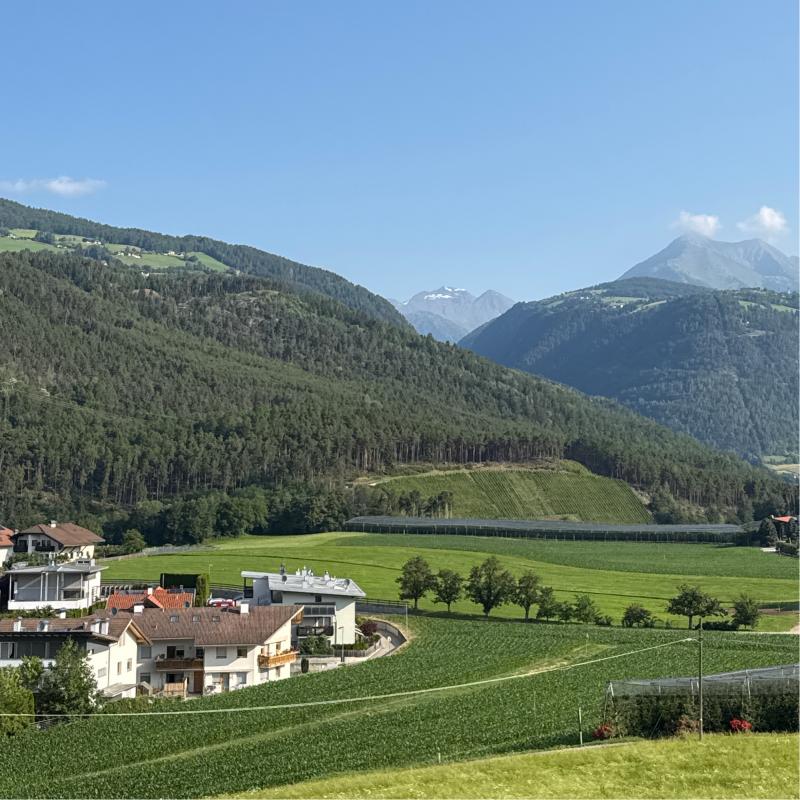 Fotosegnalazione di Naz sciaves