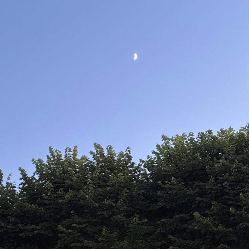 Fotosegnalazione di Amelia