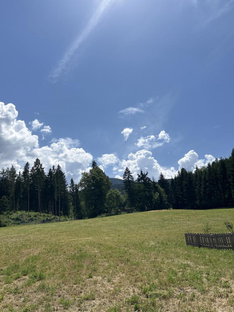 Masi di Cavalese
