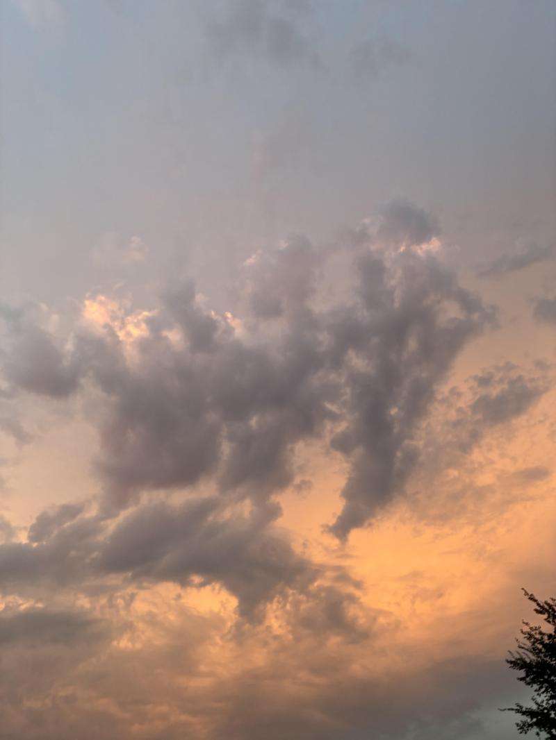 cielo