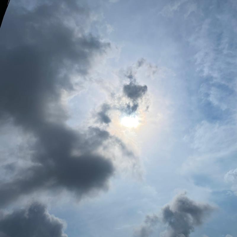 Cielo velato