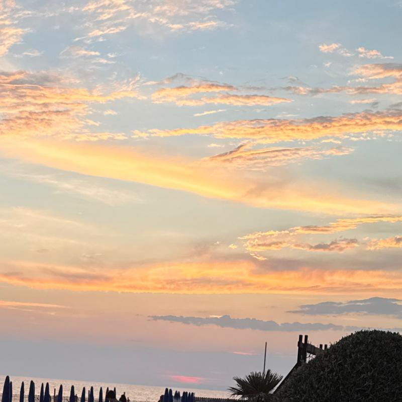 Fotosegnalazione di Fiumicino