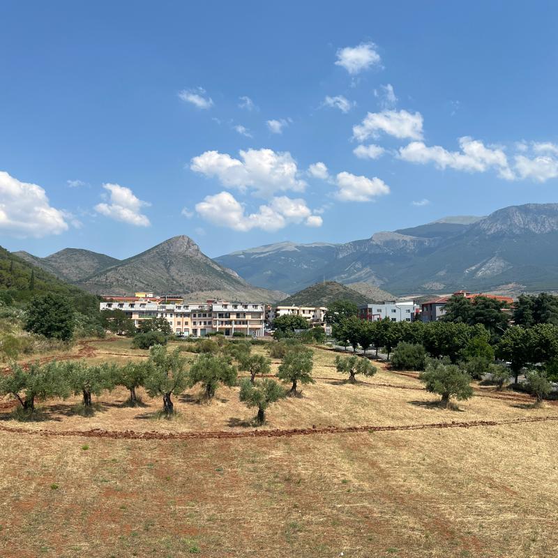 Fotosegnalazione di Castrovillari