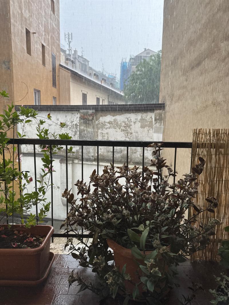 Fotosegnalazione di Milano sarpi