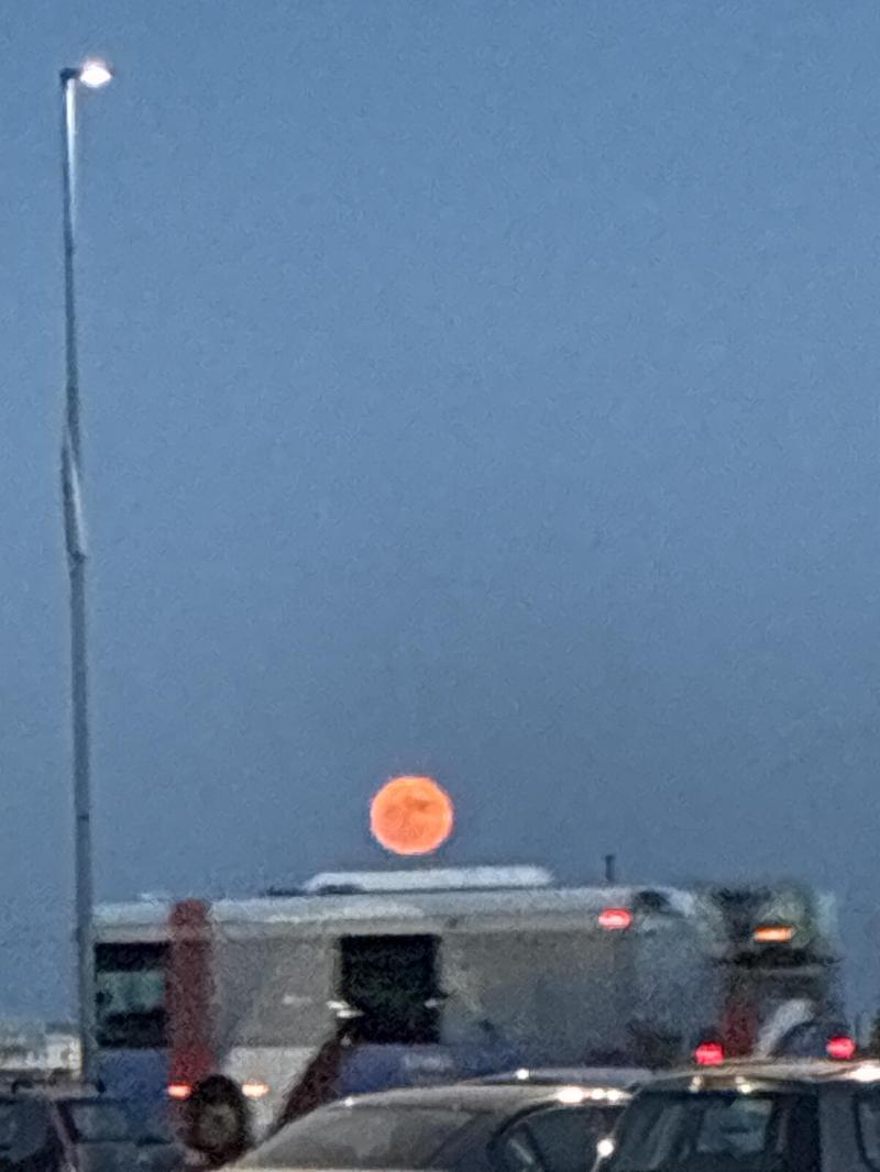 luna rosa