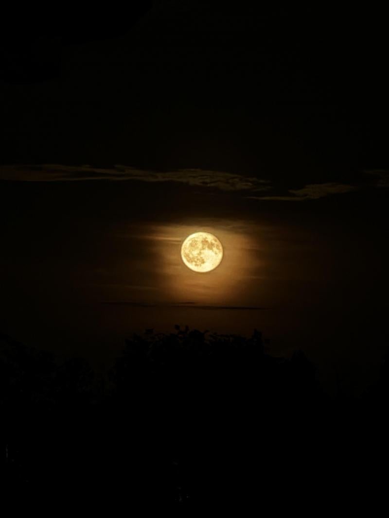 luna di fragola