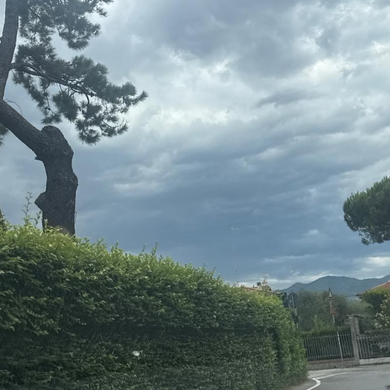 Tempo nuvoloso con vento