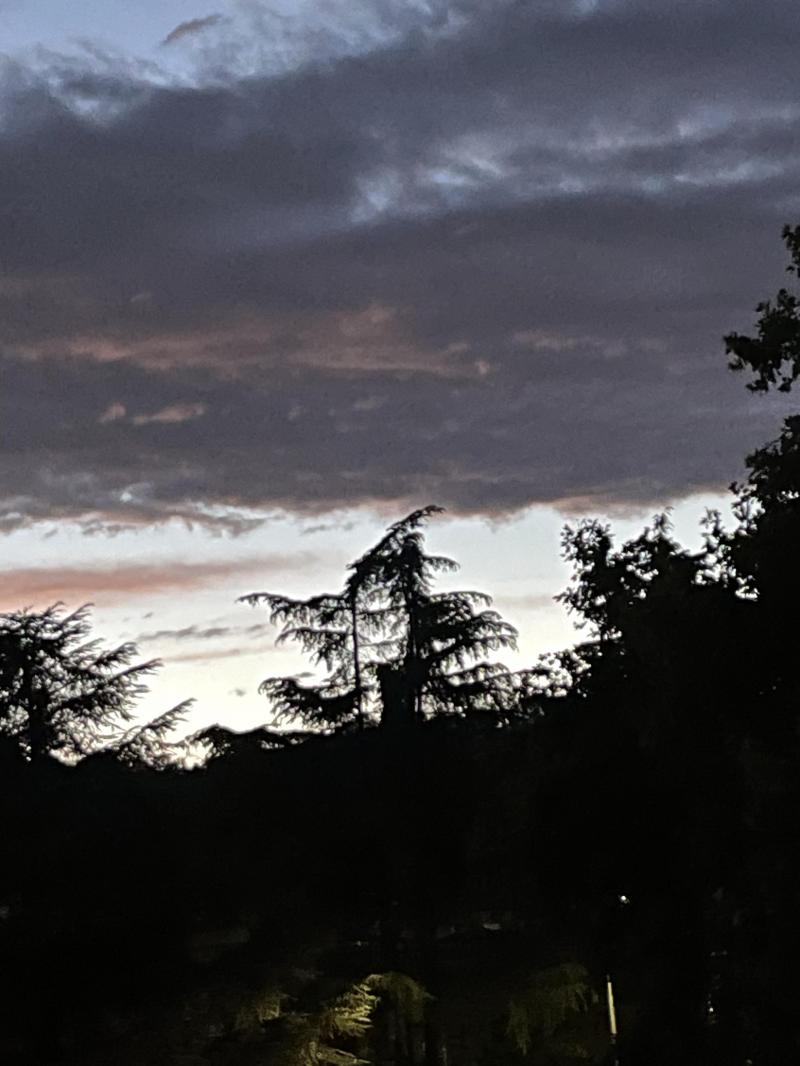 alba