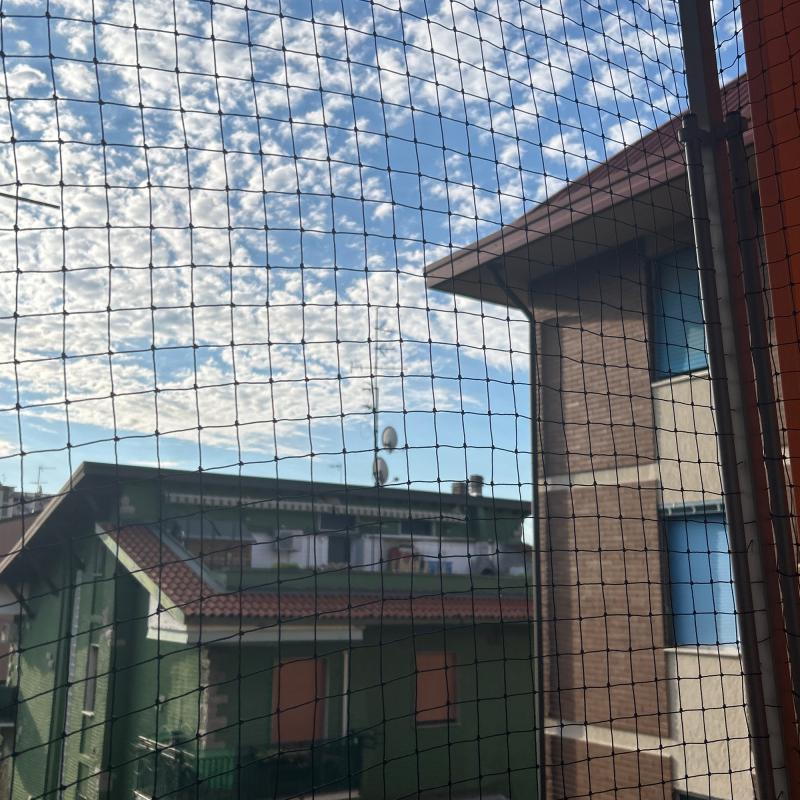 Fotosegnalazione di Cinisello balsamo
