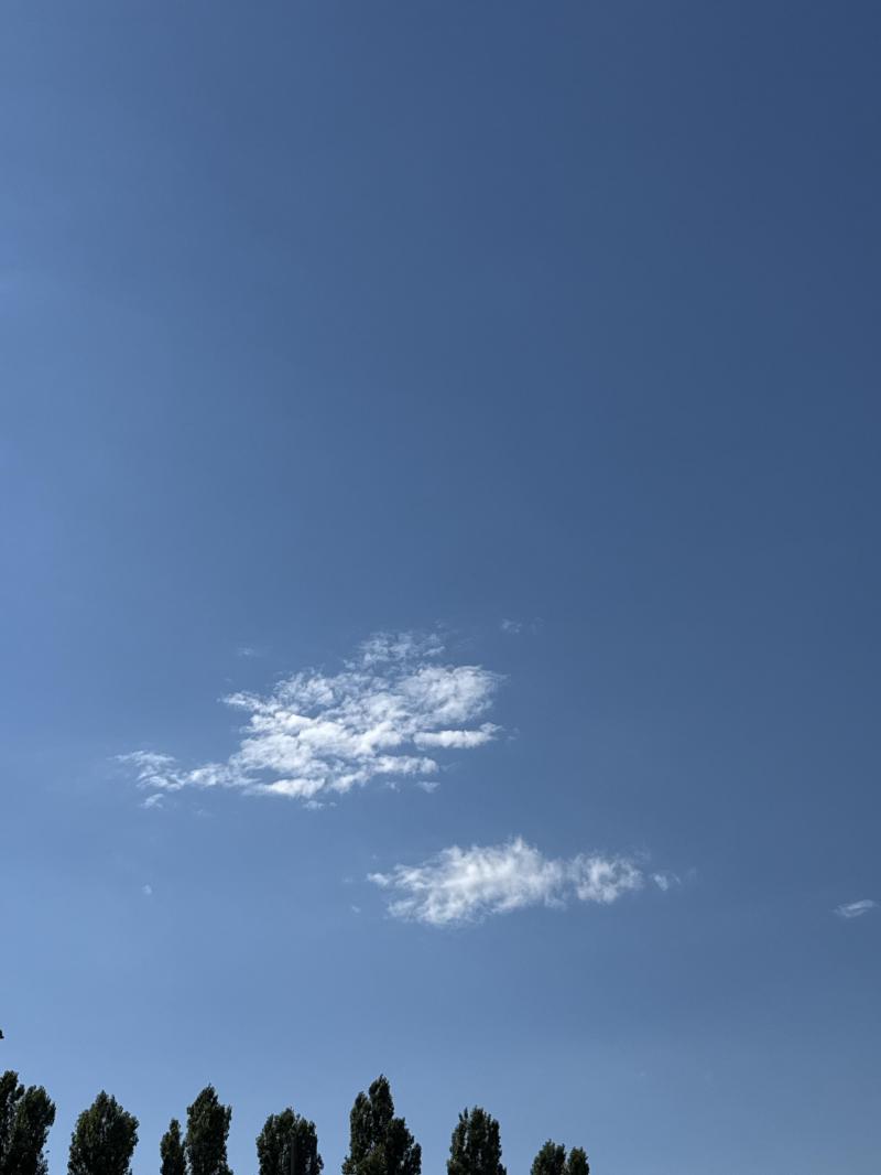 spingere che e' venerdi'