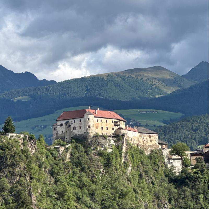 Fotosegnalazione di Naz sciaves