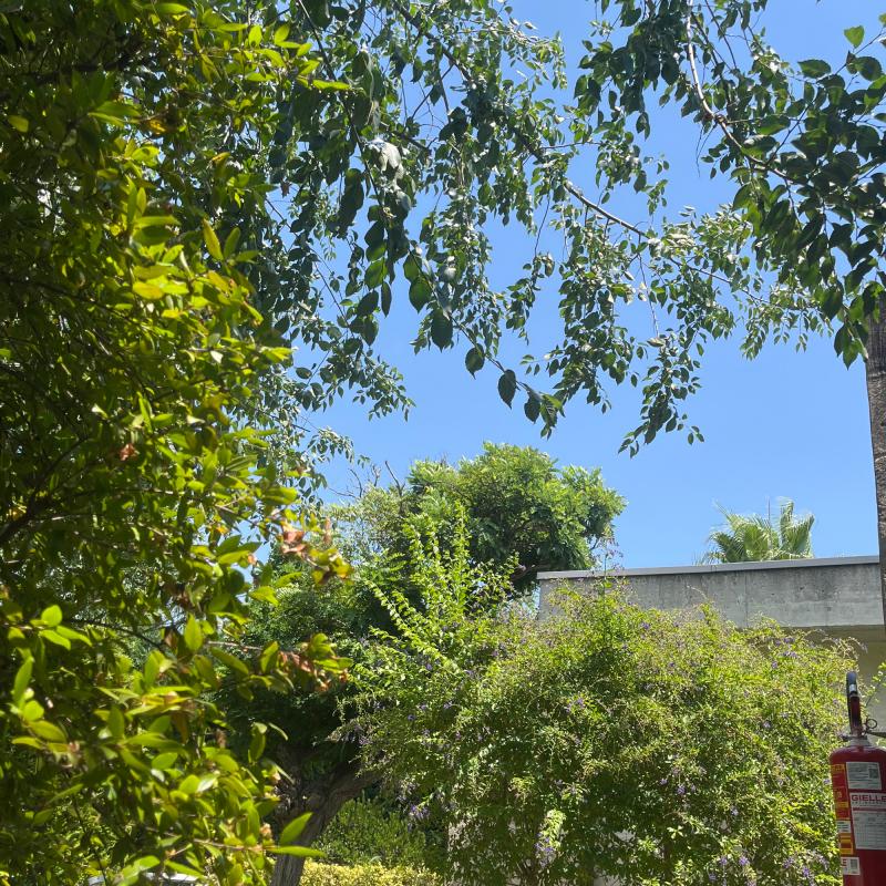 Fotosegnalazione di Bernalda