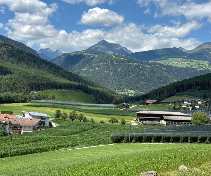 Fotosegnalazione di Naz sciaves