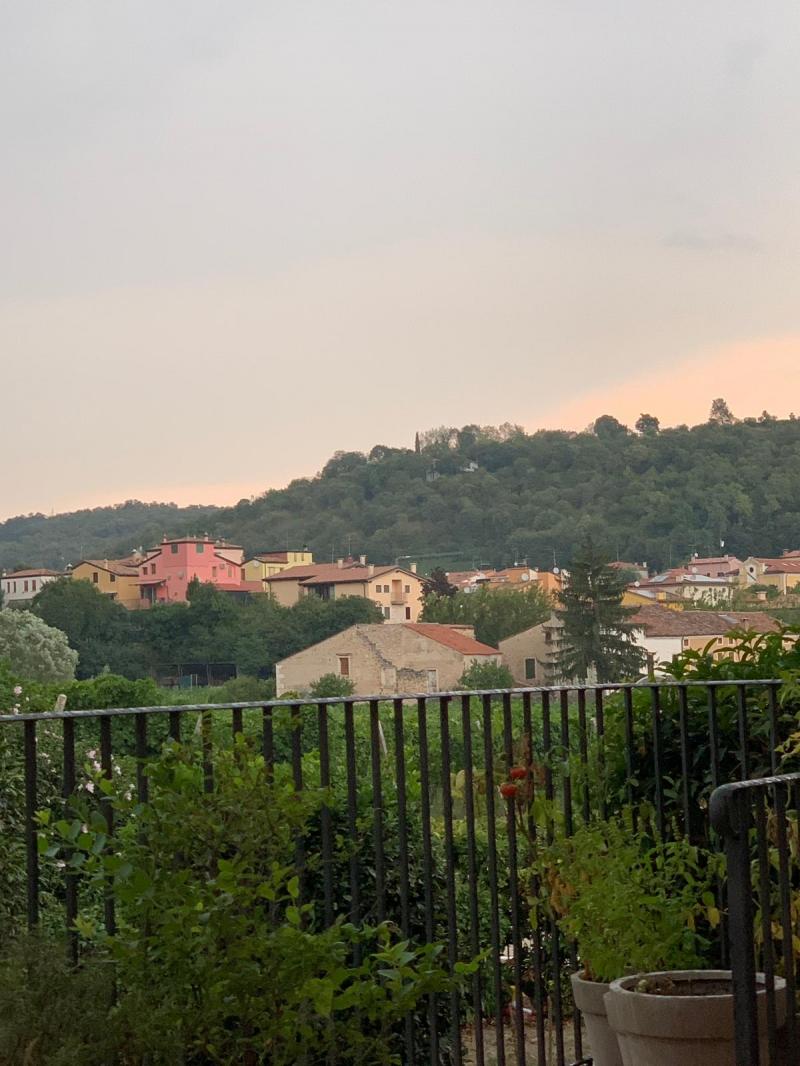 Alonte