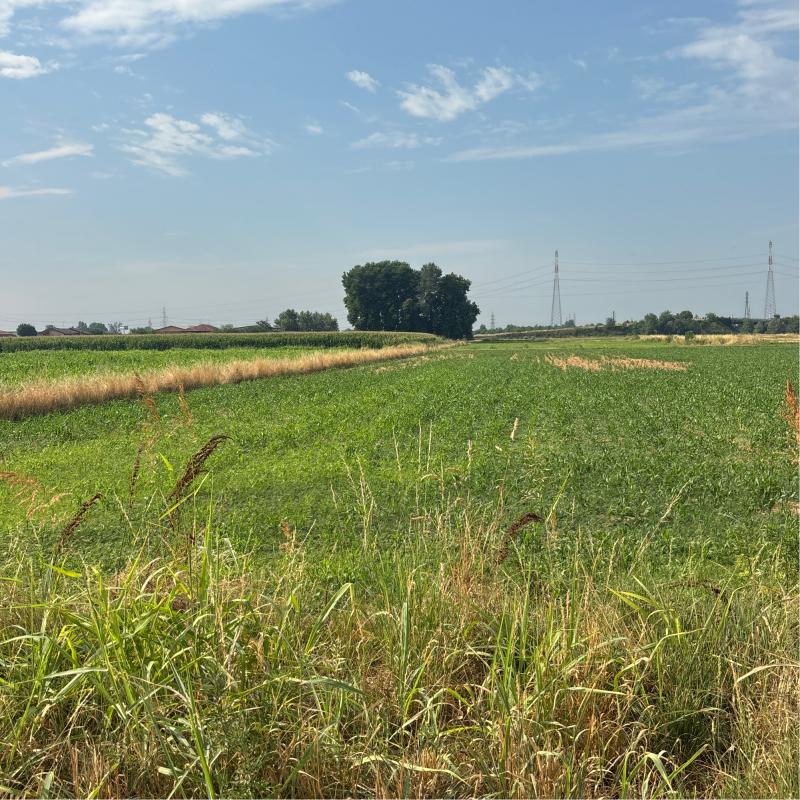 Fotosegnalazione di Marcallo con casone