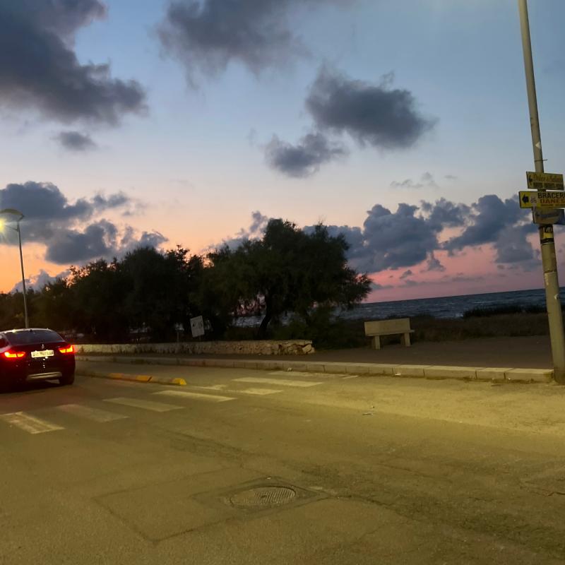 Fotosegnalazione di Specchiolla