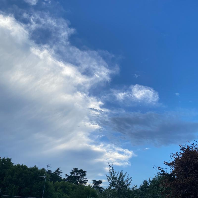 Fotosegnalazione di Busto arsizio