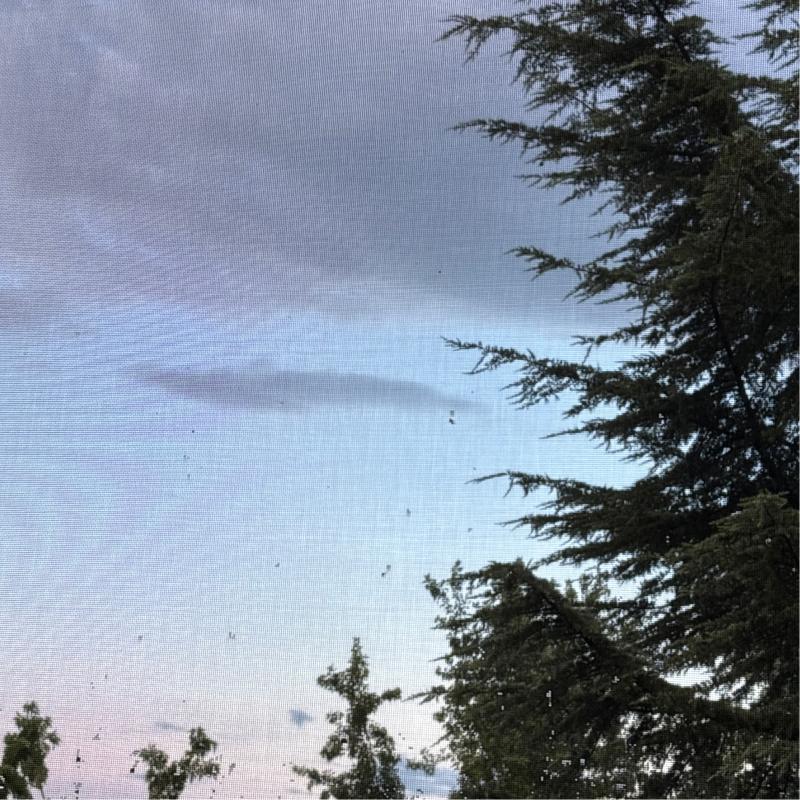 Fotosegnalazione di Basiglio