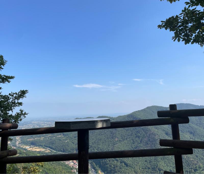 Fotosegnalazione di Porte
