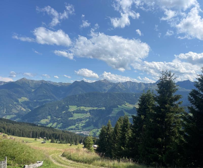 Fotosegnalazione di Racines
