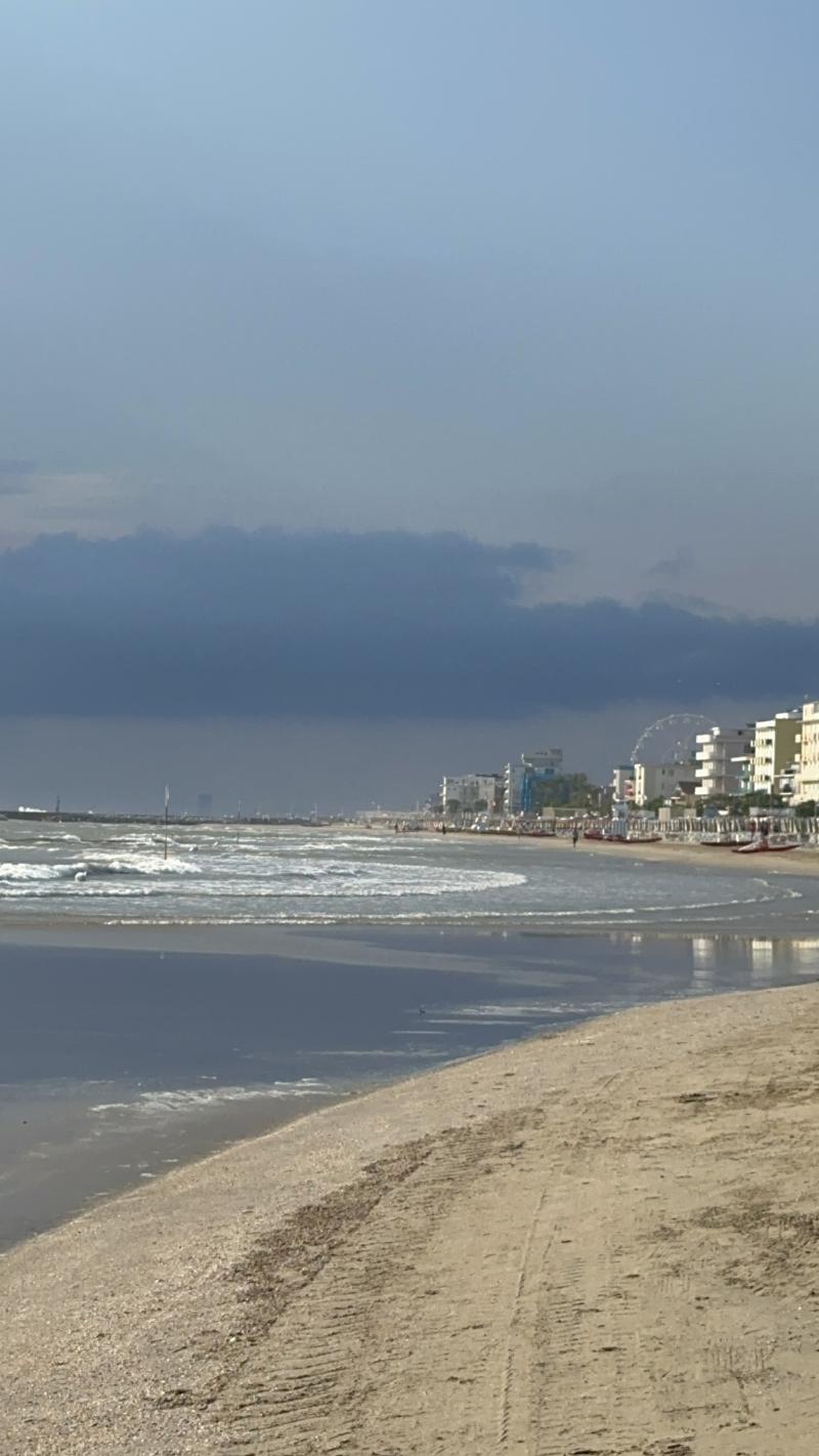 bellaria