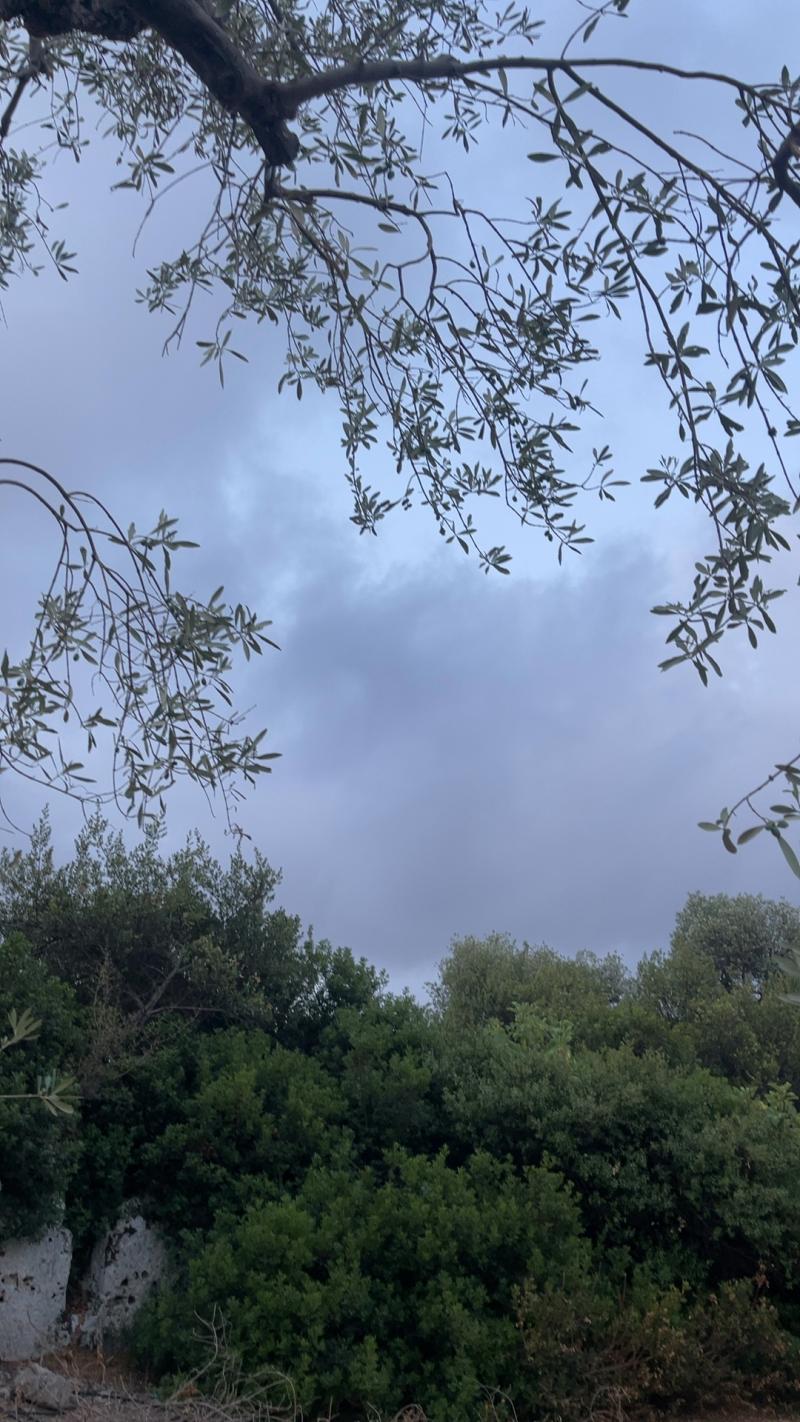Meteo
