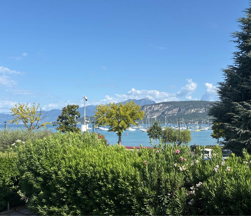 Fotosegnalazione di Bardolino