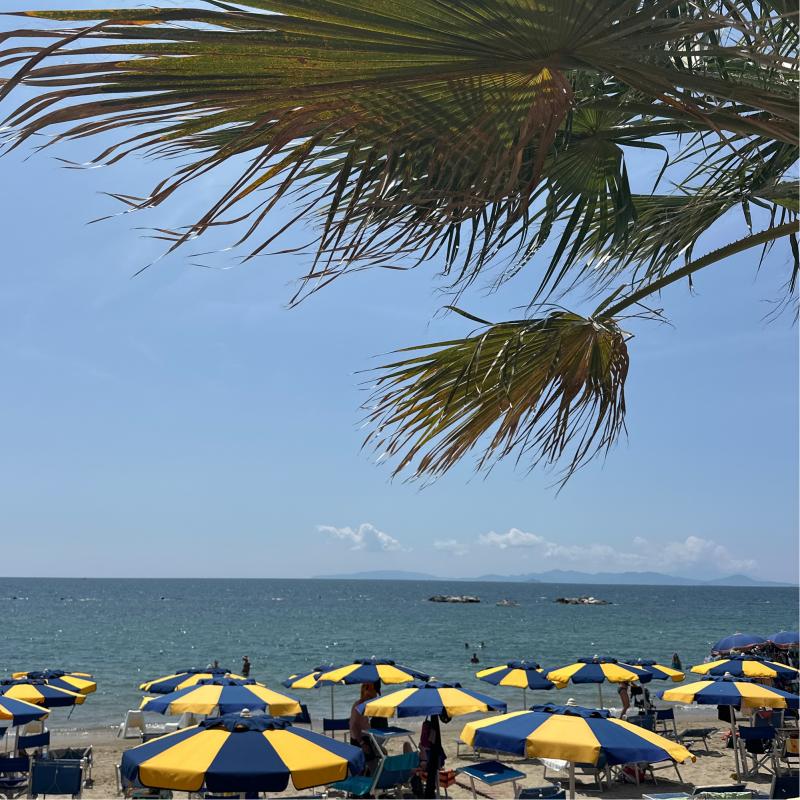 Fotosegnalazione di Follonica