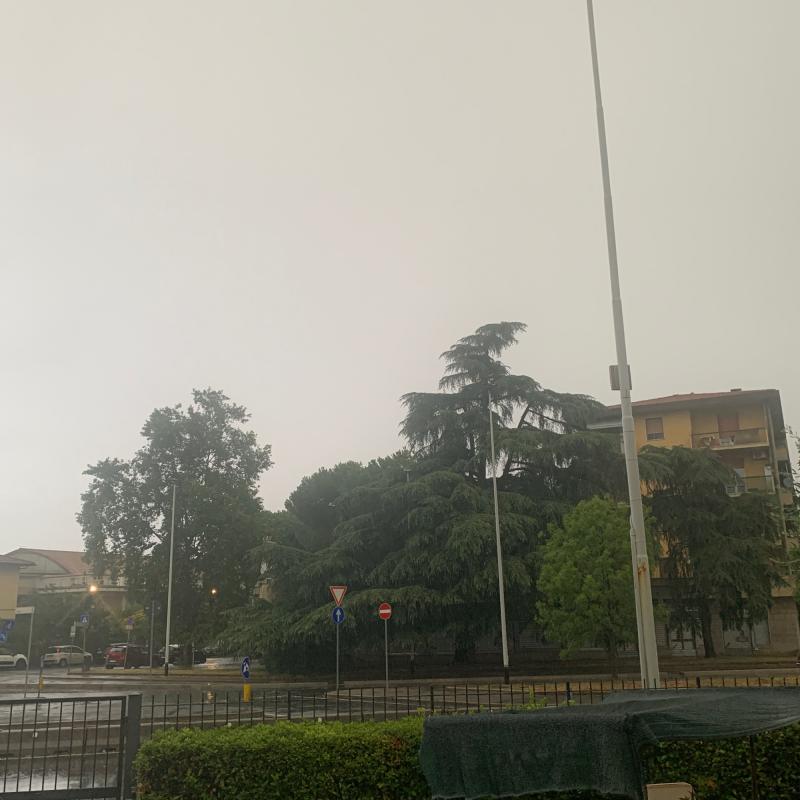 Fotosegnalazione di Firenze isolotto - legnaia